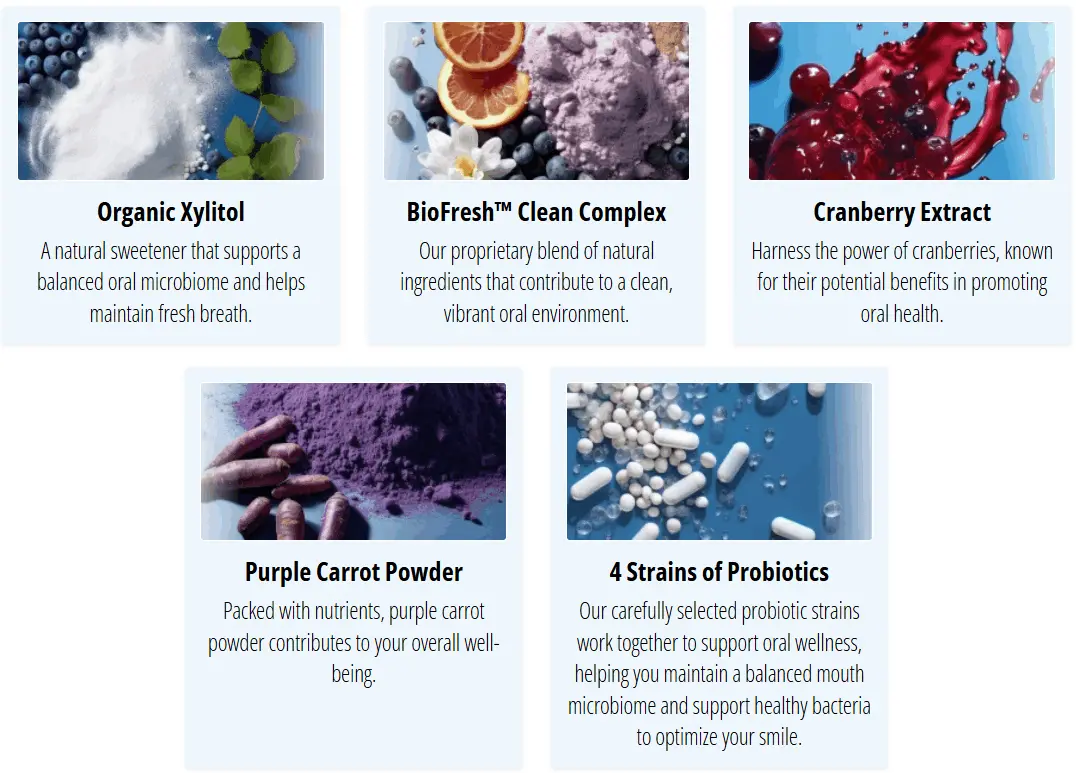 Key Ingredients of ProvaDent